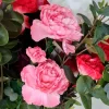 Buket af kunstige blomster - Alexis