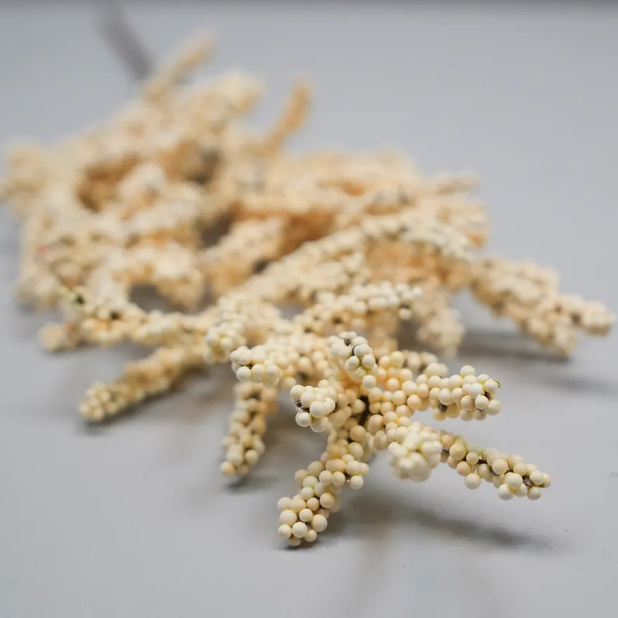 Bungalow Kunstig Blomst - Snowberry Branch, Ivory