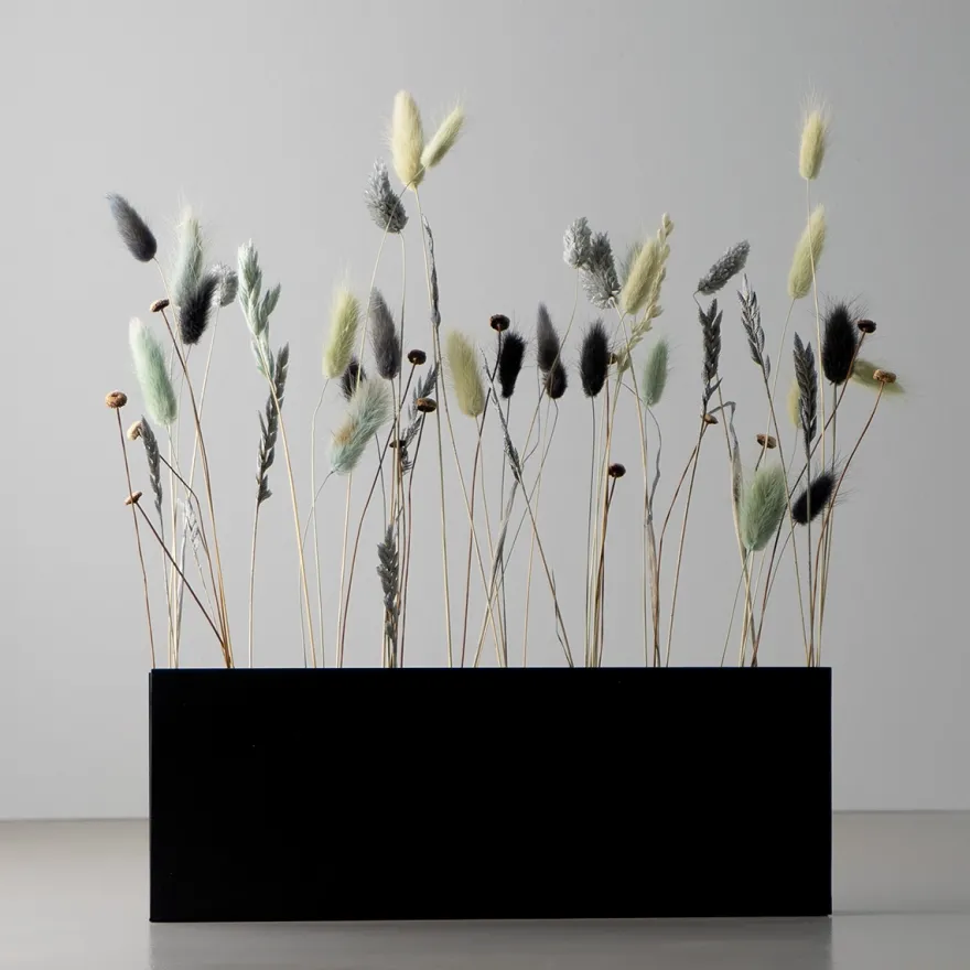 Como Flower Pot TEN - Væghængt vase i metal, Sort