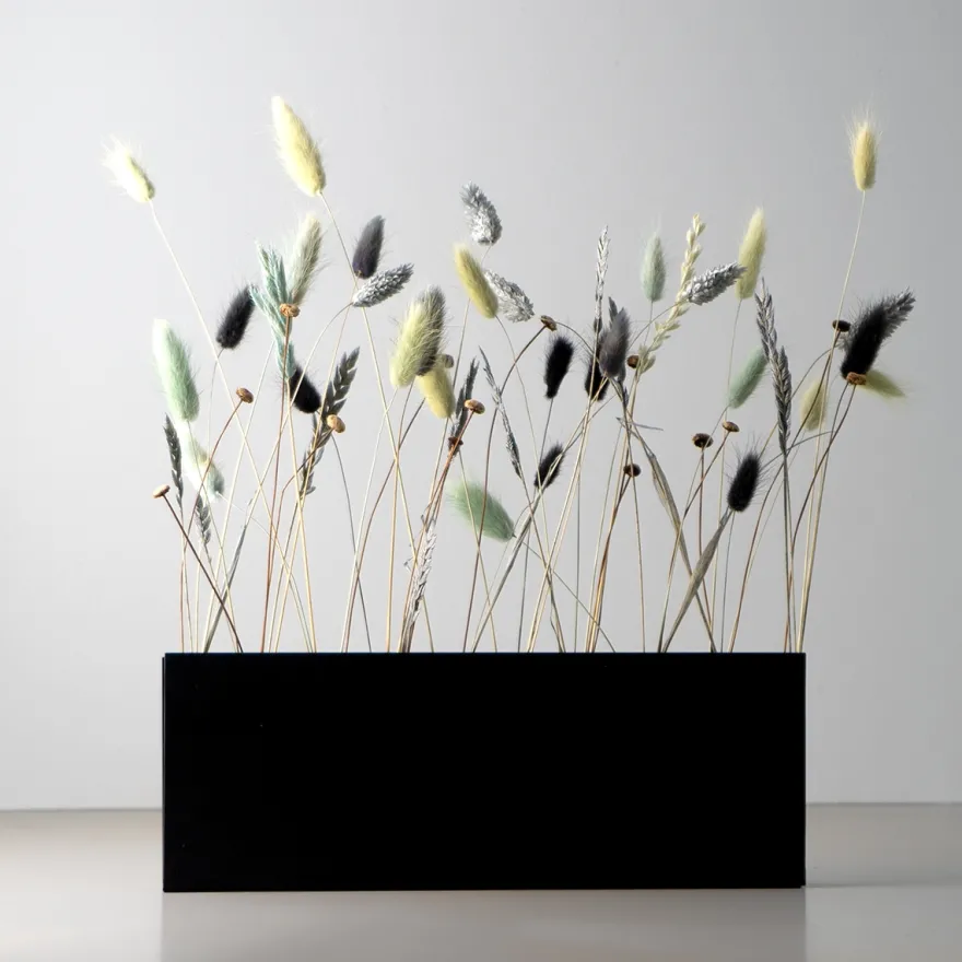 Como Flower Pot TEN - Væghængt vase i metal, Sort