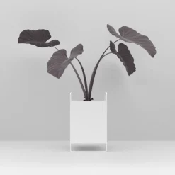Como Planteskjuler - LARGE- Hvid