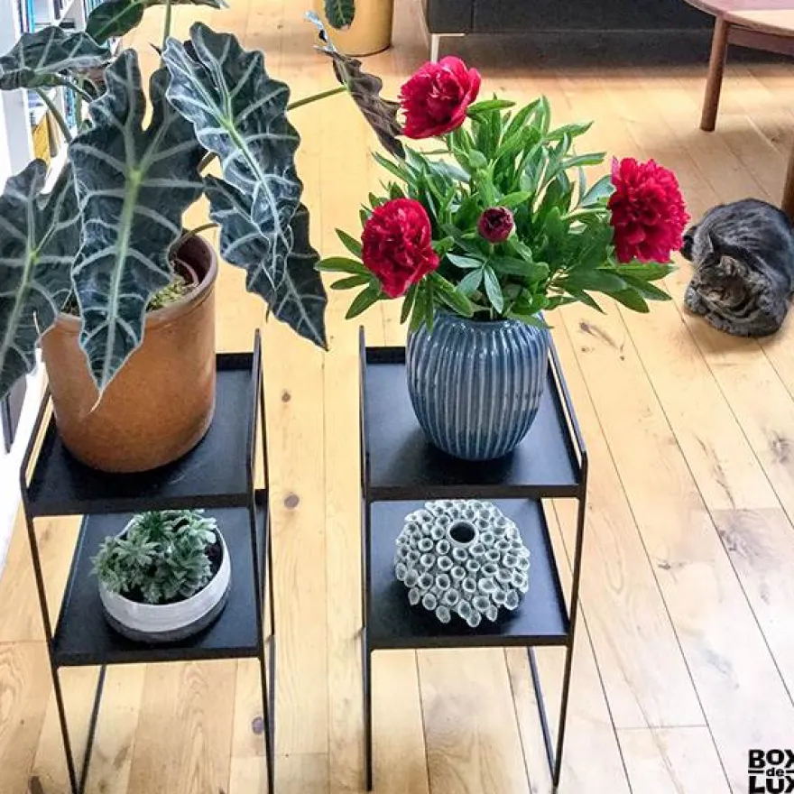 Como Plantestander med to hylder - Sort