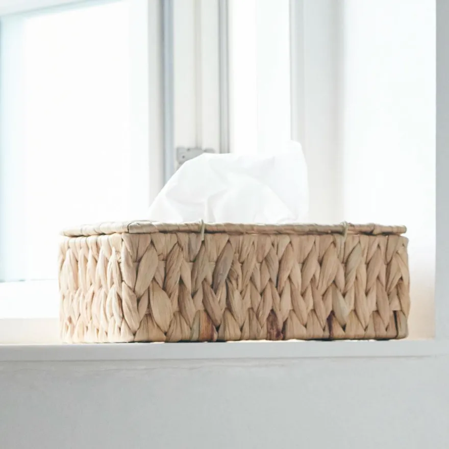 House Doctor kleenex holder i vandhyacint