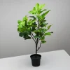 House Doctor kunstig plante - Fig - Grøn - 81 cm