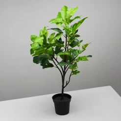 House Doctor kunstig plante - Fig - Grøn - 81 cm