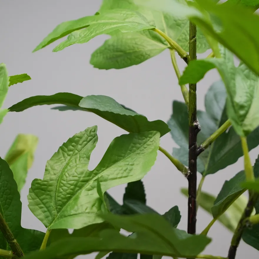 House Doctor kunstig plante - Fig - Grøn - 81 cm