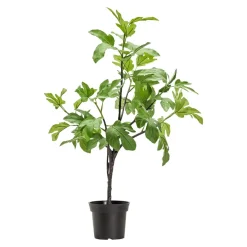House Doctor kunstig plante - Fig - Grøn - 81 cm