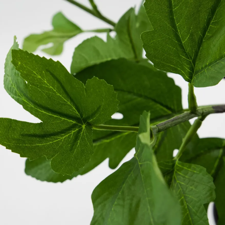 House Doctor kunstig plante - Fig - Grøn - 81 cm