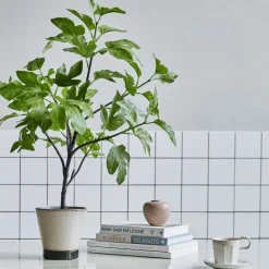 House Doctor kunstig plante - Fig - Grøn - 81 cm