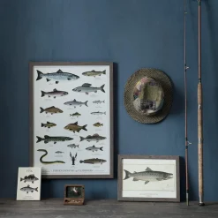 Koustrup & Co Plakat - Ferskvandsfisk
