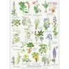 Koustrup & Co Plakat Giftige Planter