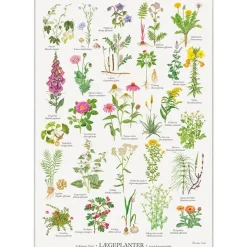 Koustrup & Co plakat - Lægeplanter
