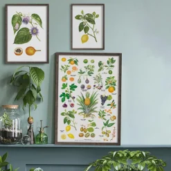 Koustrup & Co Plakat - Orangeri