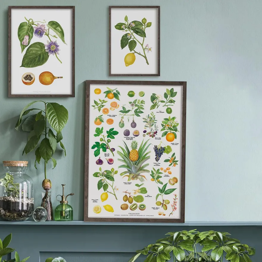 Koustrup & Co Plakat - Orangeri