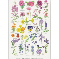 Koustrup & Co Plakat - Spiselige Blomster