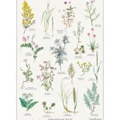 Koustrup & Co Plakat - Strandplanter