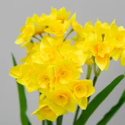 Kunstig Blomst - Buket med gule Narcissus, 43 cm
