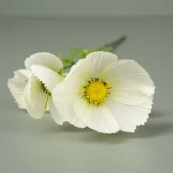 Kunstig Blomst - Cosmos, 60 cm. HVID