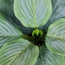 Kunstig Blomst - Hosta, grøn 20 cm.