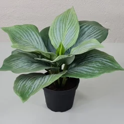 Kunstig Blomst - Hosta, grøn 20 cm.