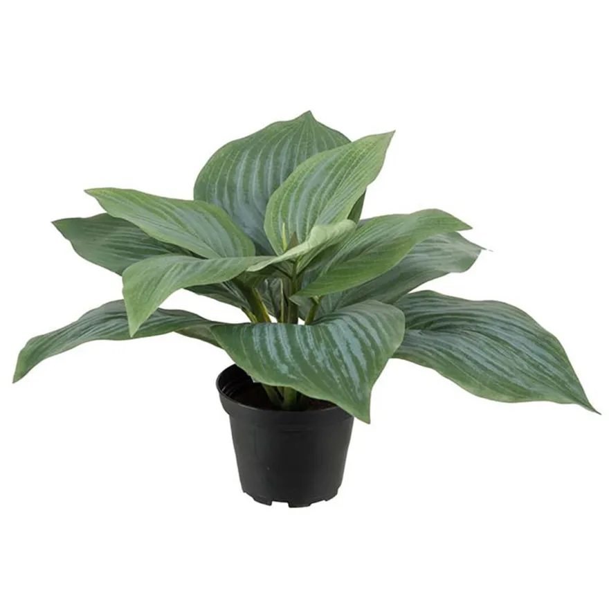 Kunstig Blomst - Hosta, grøn 20 cm.