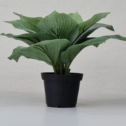 Kunstig Blomst - Hosta, grøn 20 cm.