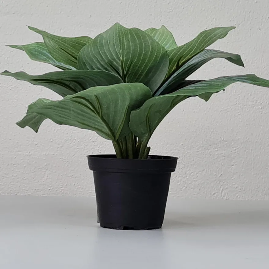 Kunstig Blomst - Hosta, grøn 20 cm.