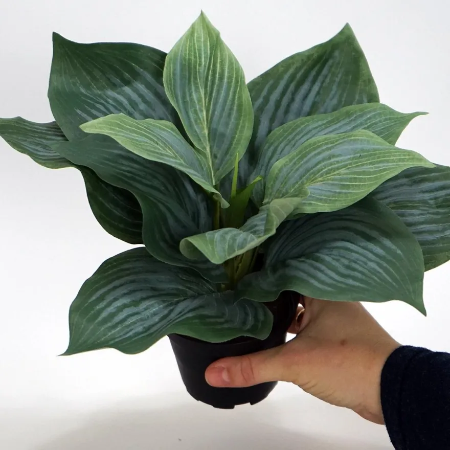 Kunstig Blomst - Hosta, grøn 20 cm.