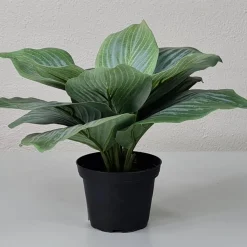 Kunstig Blomst - Hosta, grøn 20 cm.