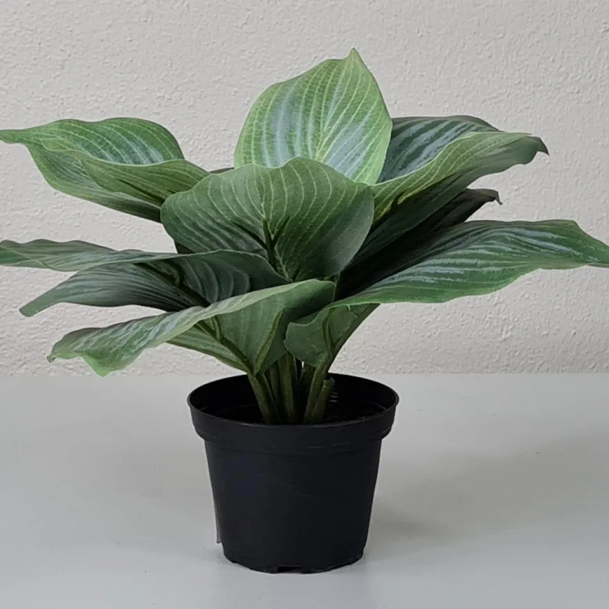 Kunstig Blomst - Hosta, grøn 20 cm.