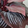 Kunstig Blomst - Hosta, vinrød 20 cm.