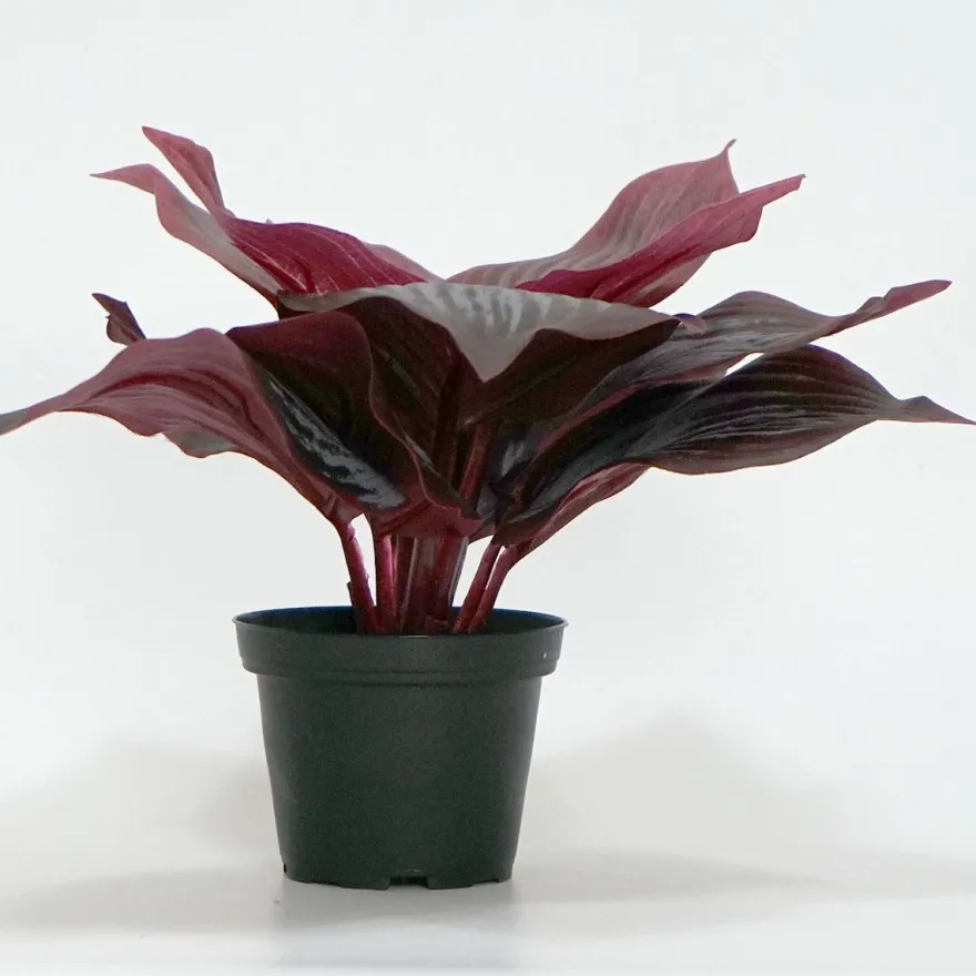 Kunstig Blomst - Hosta, vinrød 20 cm.