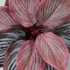 Kunstig Blomst - Hosta, vinrød 20 cm.