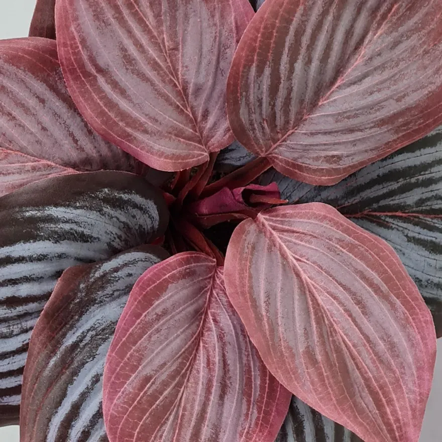 Kunstig Blomst - Hosta, vinrød 20 cm.