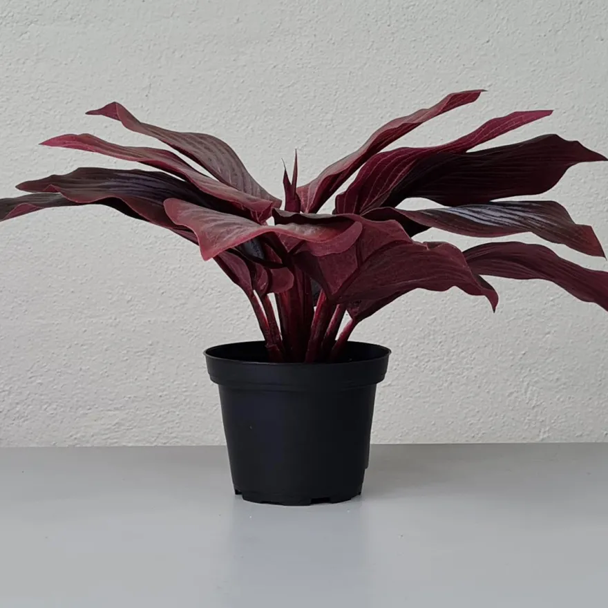 Kunstig Blomst - Hosta, vinrød 20 cm.