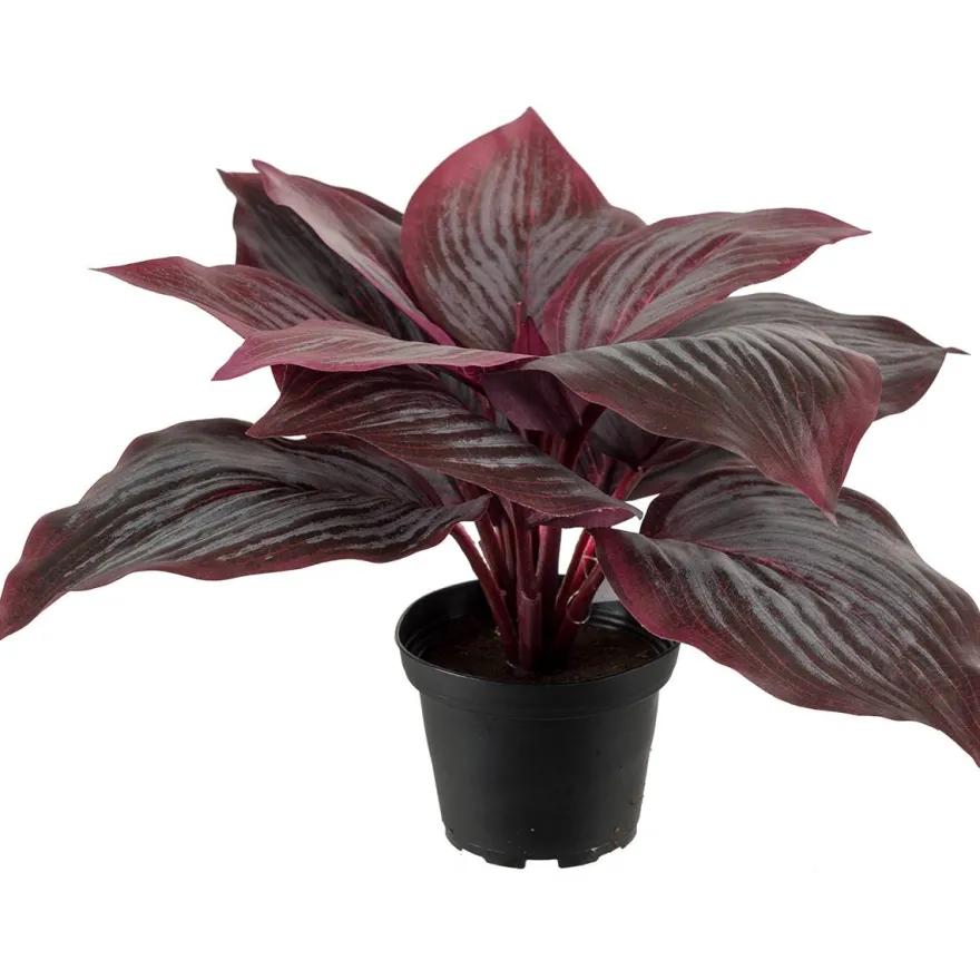 Kunstig Blomst - Hosta, vinrød 20 cm.