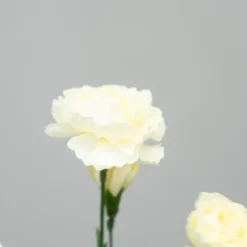 Kunstig Blomst - Nellike, 65 cm. HVID
