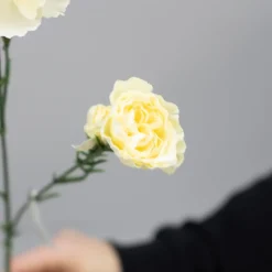 Kunstig Blomst - Nellike, 65 cm. HVID