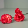 Kunstig Blomst - Nellike, 65 cm. PINK