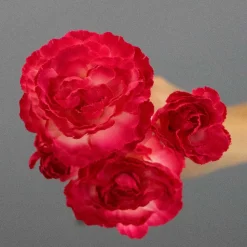 Kunstig Blomst - Nellike, 65 cm. PINK