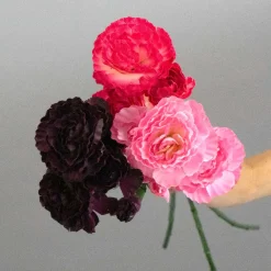 Kunstig Blomst - Nellike, 65 cm. ROSA