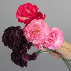 Kunstig Blomst - Nellike, 65 cm. ROSA