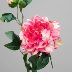 Kunstig Blomst - Pæon med to blomsterhoveder, Pink, 65 cm
