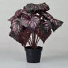 Kunstig Blomst - Rexbegonia, vinrød 30 cm.