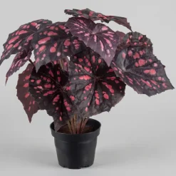 Kunstig Blomst - Rexbegonia, vinrød 30 cm.