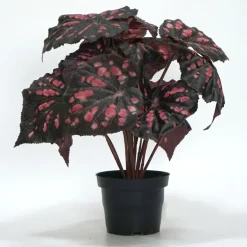 Kunstig Blomst - Rexbegonia, vinrød 30 cm.
