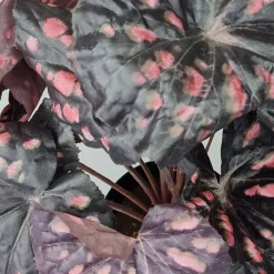 Kunstig Blomst - Rexbegonia, vinrød 30 cm.
