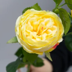 Kunstig Blomst - Rose med 2 hoveder, GUL, 60 cm