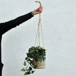 Kunstig Hængende Hedera - 60 cm.