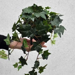 Kunstig Hængende Hedera - 60 cm.